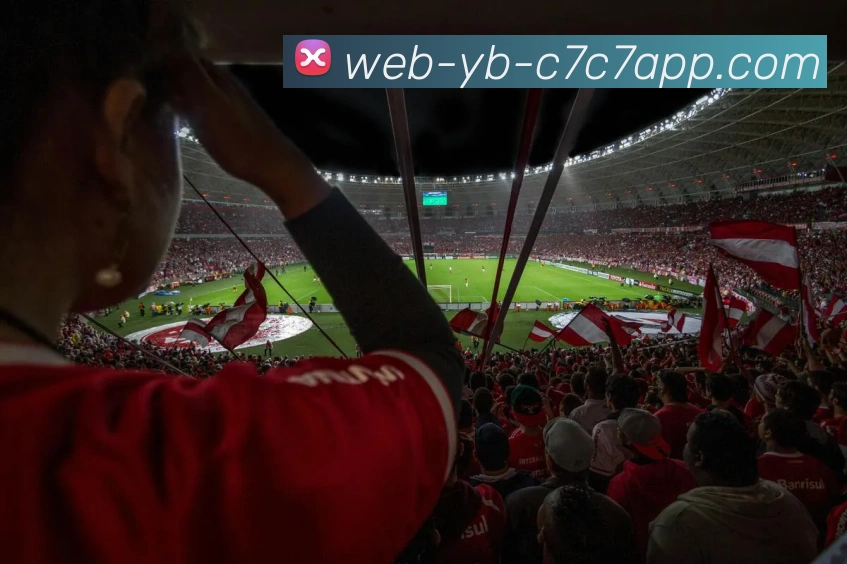 C7C7娱乐平台生态图